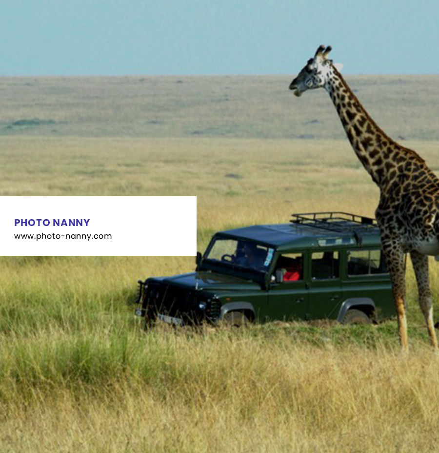Photo Nanny