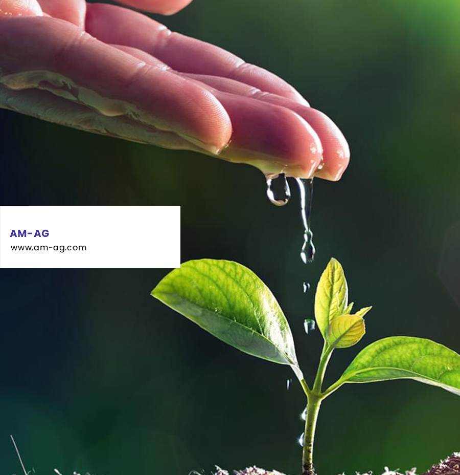 AM-AG