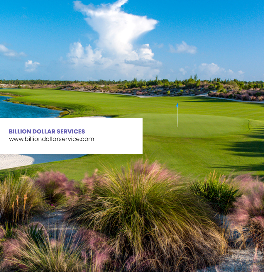 Billion Dollar Services