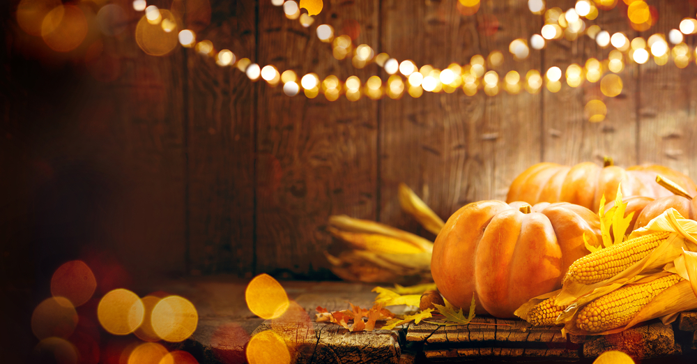 happy thanksgiving from itvibes, spring, tx Happy Thanksgiving from ITVibes, Spring, TX