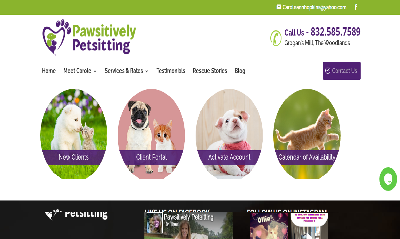 Paw contact | itvibes full service digital marketing agency in houston