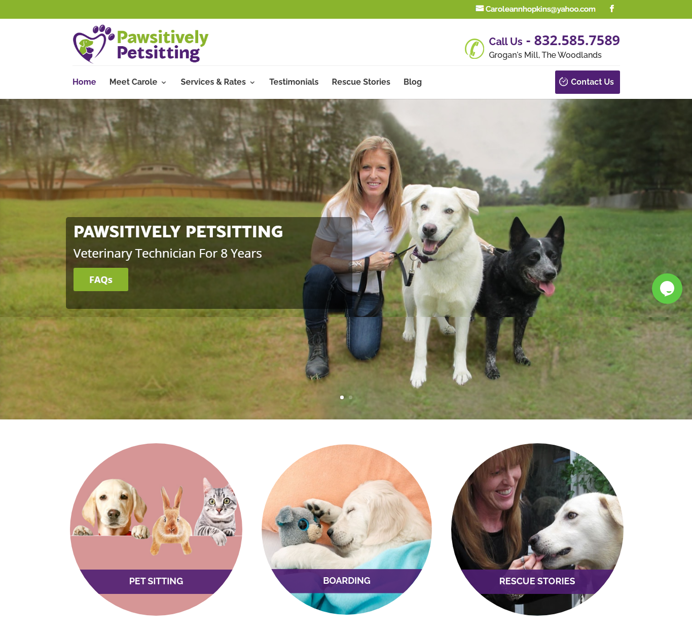 Pawsitively home | itvibes full service digital marketing agency in houston