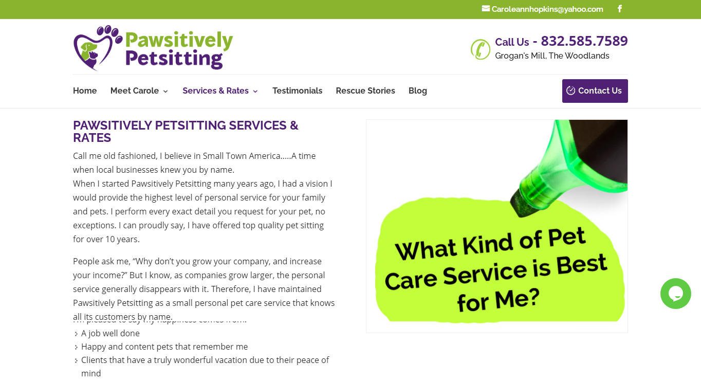 Pawsitively services | itvibes full service digital marketing agency in houston