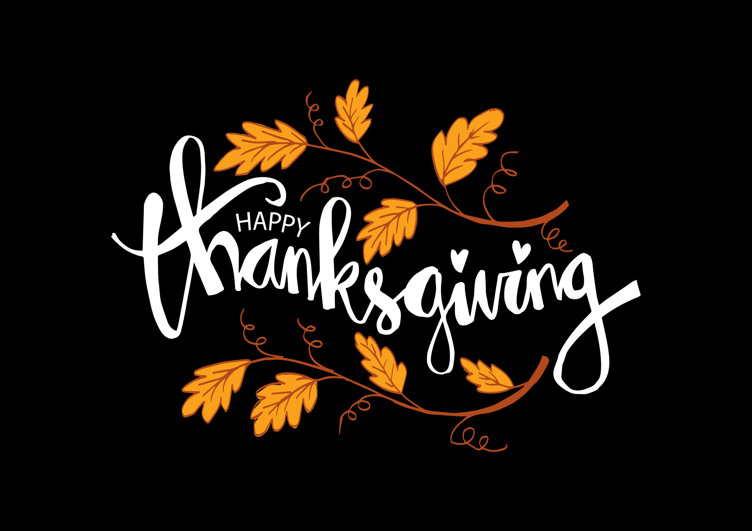 celebrating thanksgiving with the itvibes family, the woodlands, tx Celebrating Thanksgiving with the ITVibes Family, The Woodlands, TX