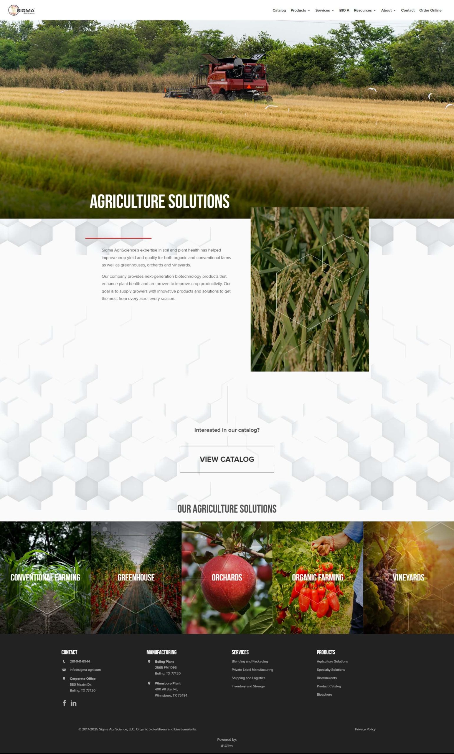 D56b71c0 3c44 4569 99cf 6bf9ce1c5ceb | itvibes full service digital marketing agency in houston