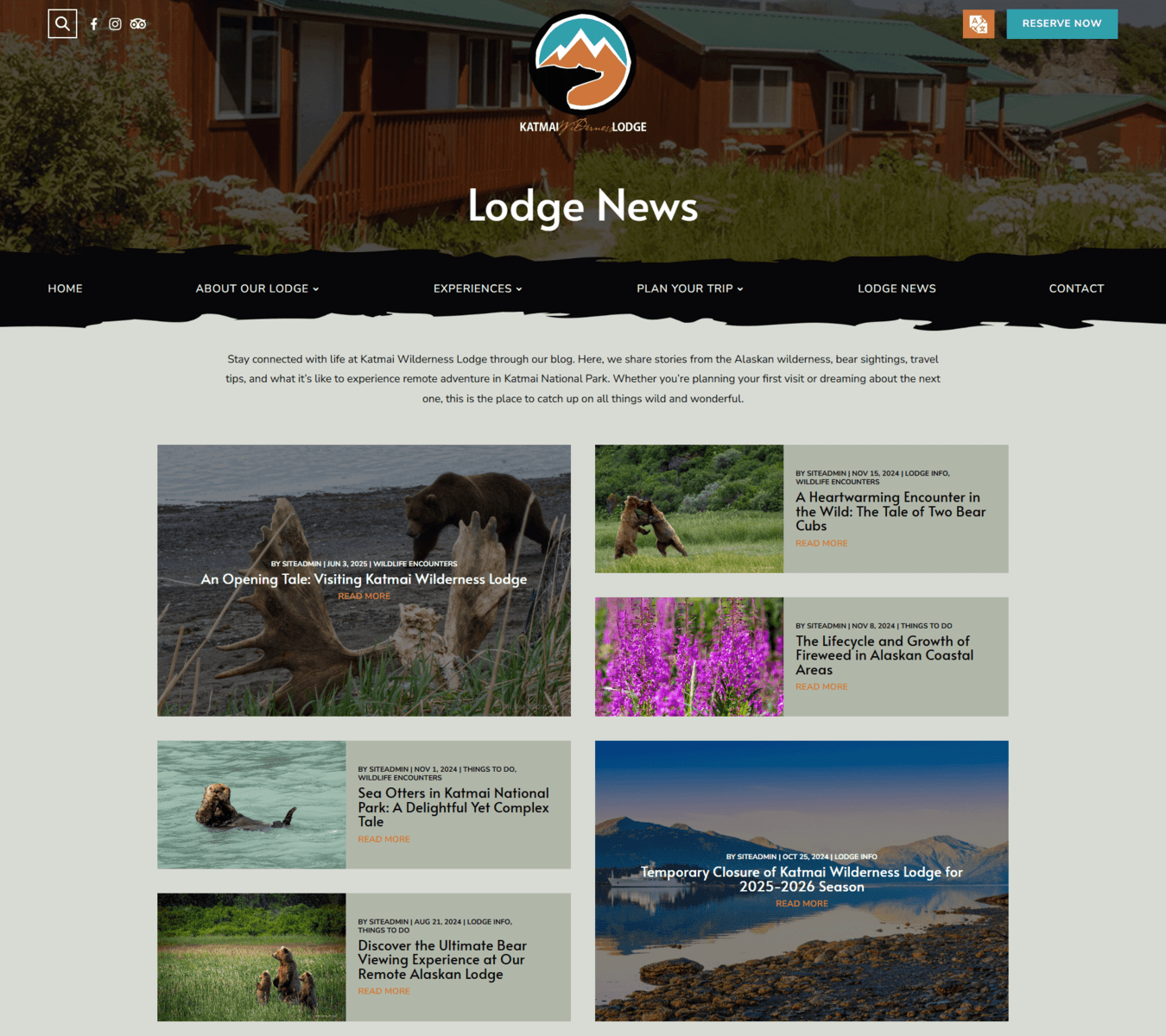 Katmai wilderness lodge news upd 1 | itvibes full service digital marketing agency in houston