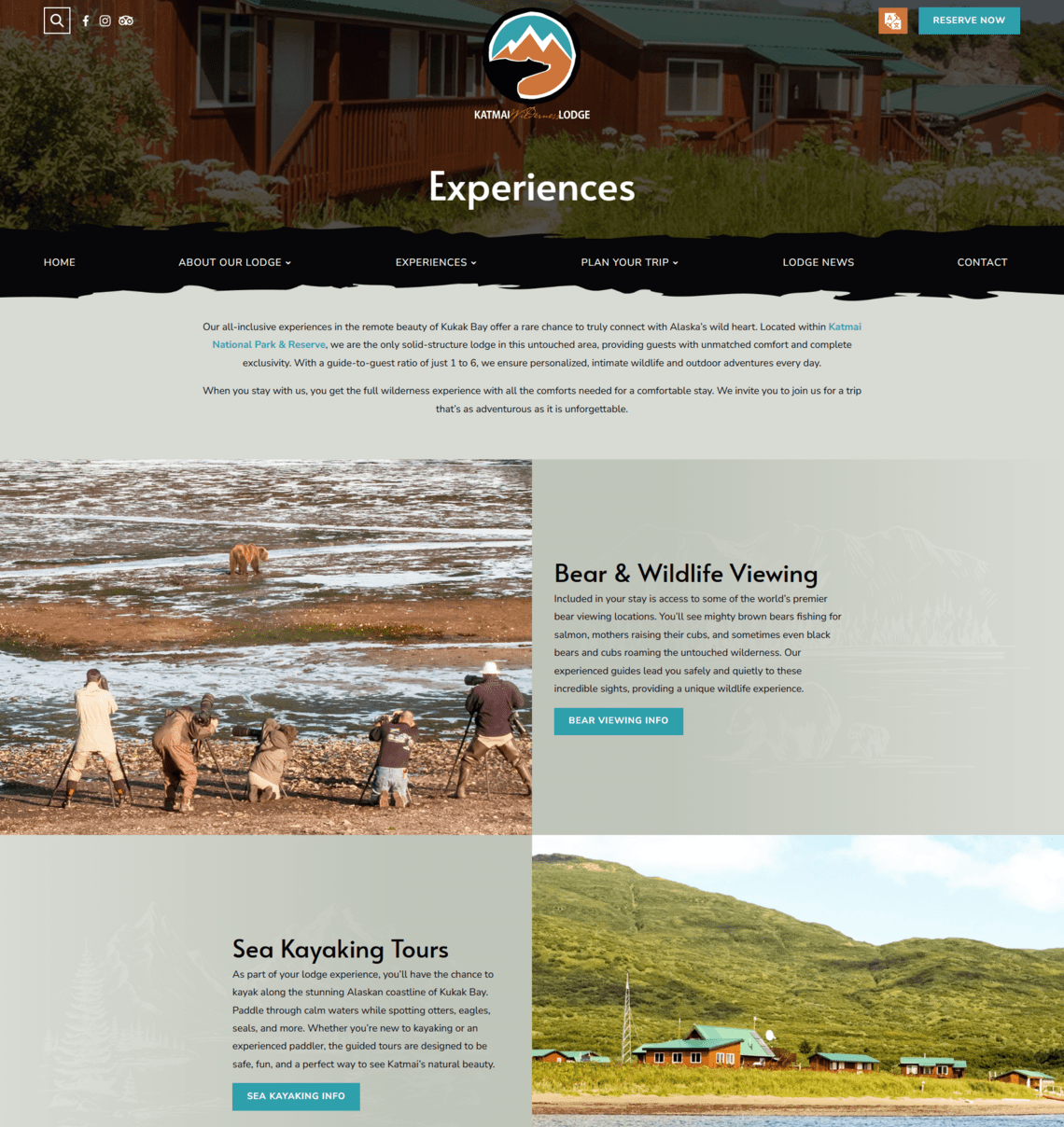 Top katmai national park tours f | itvibes full service digital marketing agency in houston