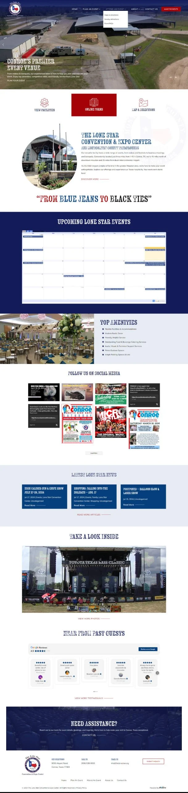 Lone star scaled | itvibes full service digital marketing agency in houston