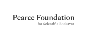 Peace foundation 1 | itvibes full service digital marketing agency in houston