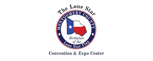 The lone star | itvibes full service digital marketing agency in houston the Lone Star Business Project Image