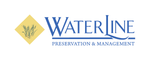 Water line | itvibes full service digital marketing agency in houston Water Line Project Image