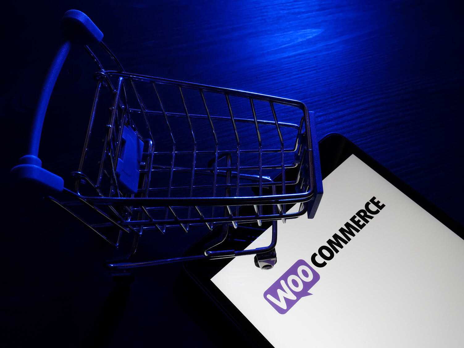 | itvibes full service digital marketing agency in houston Woocommerce Development and E commerce Services