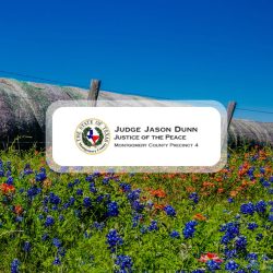 Overlay Banner Showing Judge Jason Dunn Justice of the Peace Montgomery County Precinct 4 with a State Seal on a Field of Colorful Flowers and Blue Sky